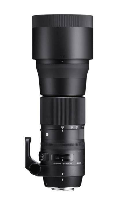 【新品】SIGMA 150-600mm F5-6.3 DG OS HSM ニコン Amazon.com : Sigma 150-600mm 5-6.3 Contemporary DG OS HSM Lens for