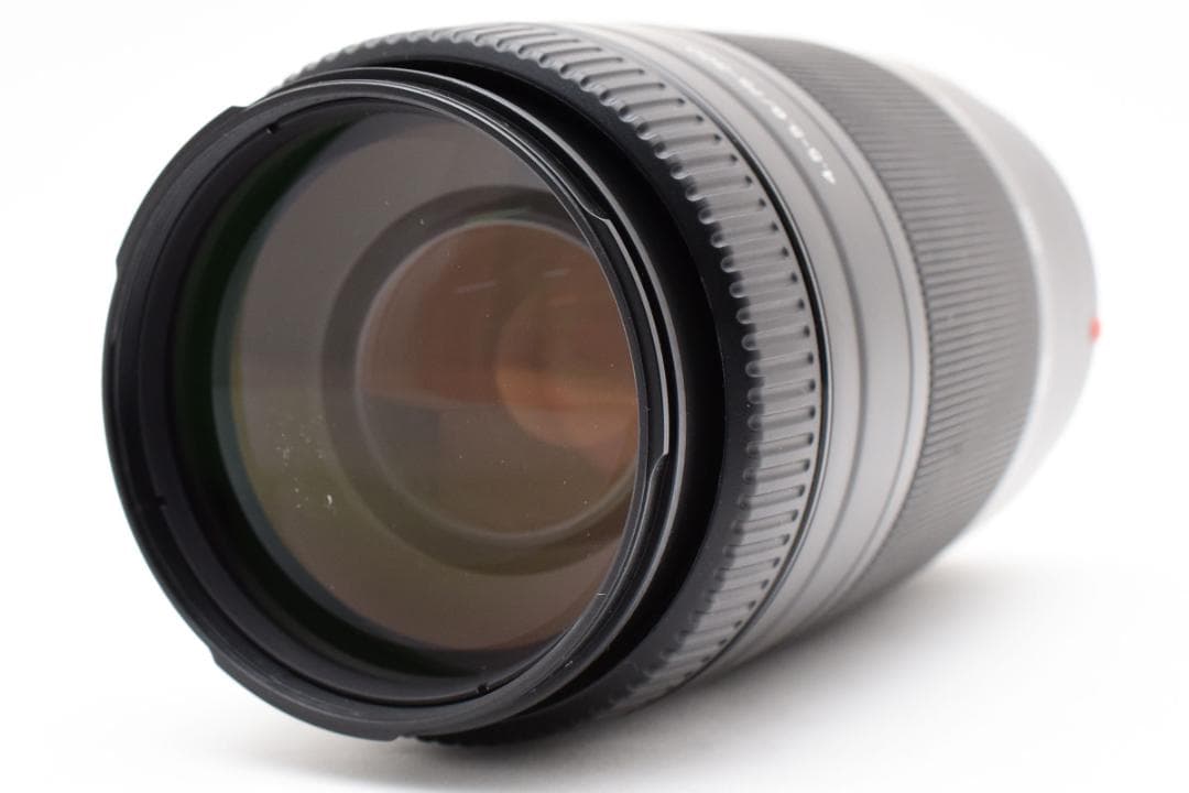 ★極上品★ SONY 75-300mm F4.5-5.6 SAL7530 ソニー