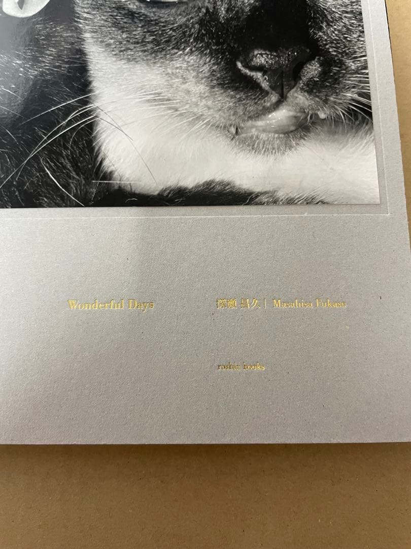 深瀬昌久 写真集 Wonderful Days special edition - メルカリ