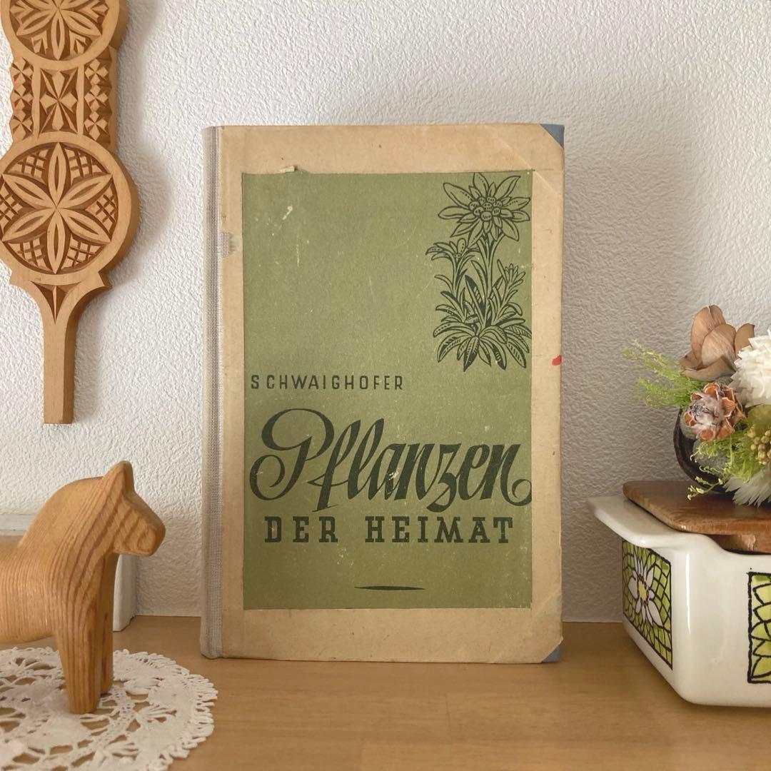 L-885 洋書古書 1940年代発行 ドイツの古い植物図鑑 - メルカリ