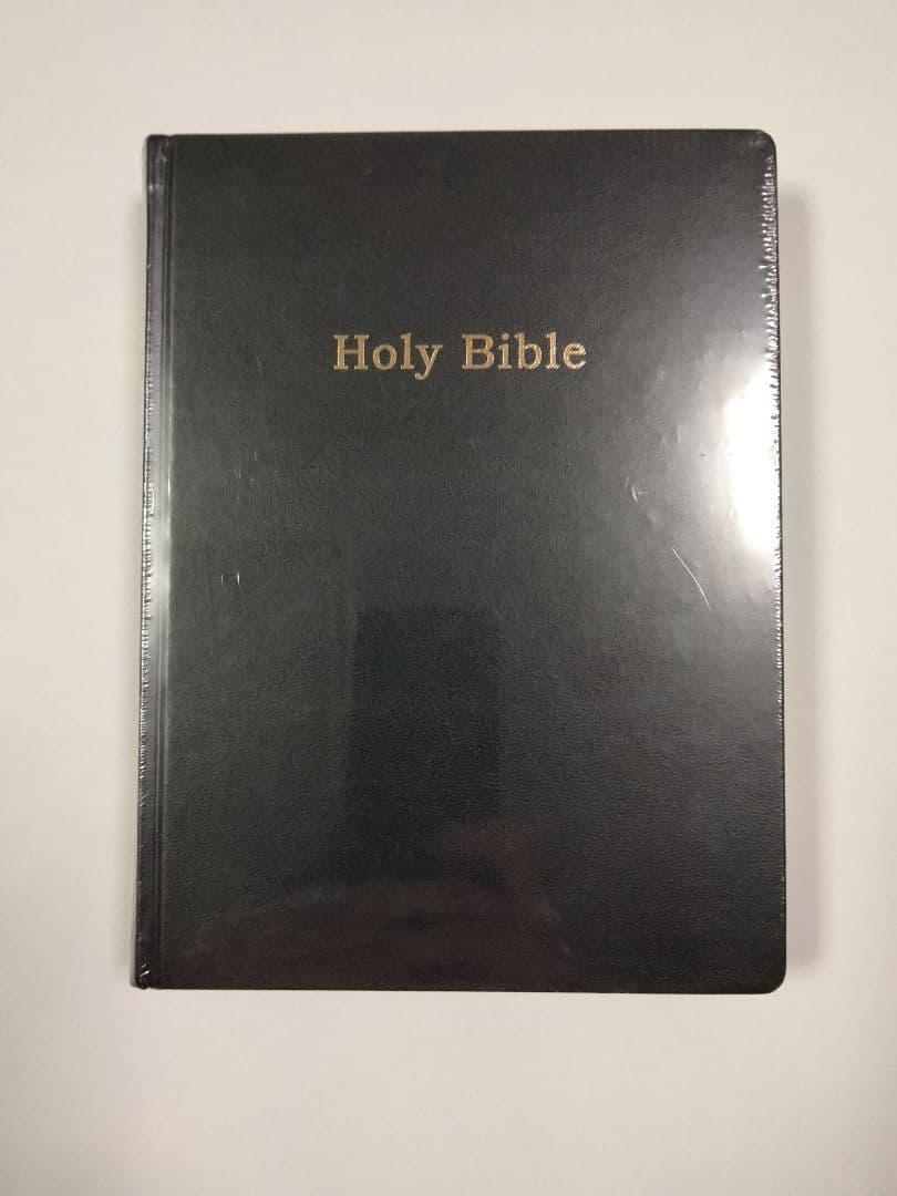 未開封 Holy Bible by アダムブルームバーグ オリバーチャナリン Holy Bible: Broomberg, Adam, and Chanarin, Oliver: 9781907946417
