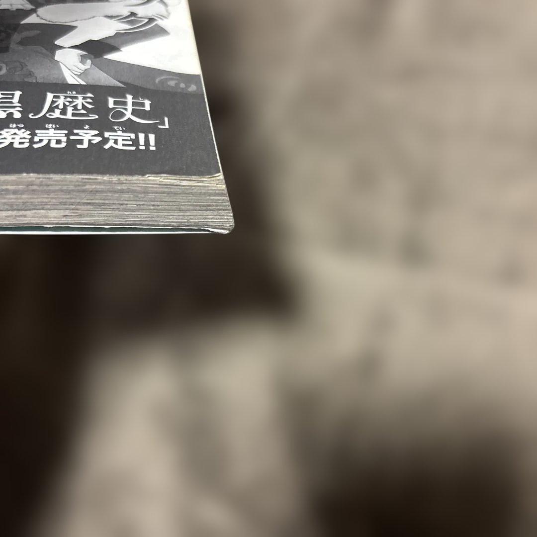 転生悪女の黒歴史 全巻 1-17巻 + 番外編 2冊 購入特典付 アニメ化