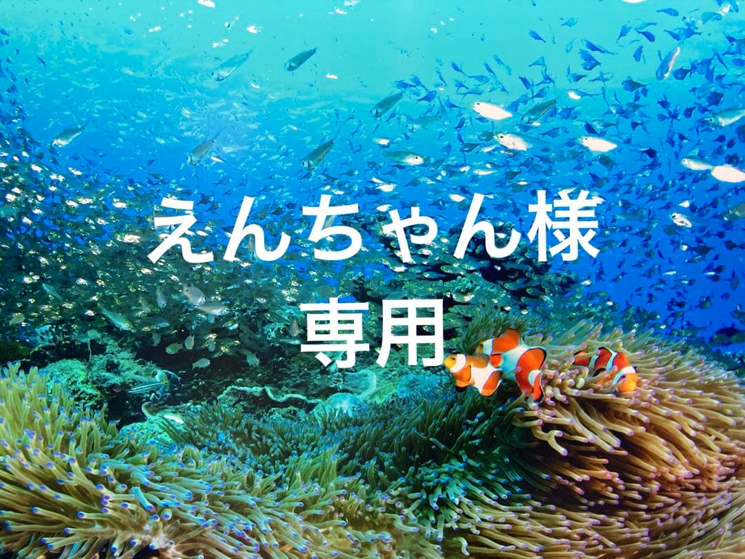 エンビロンCクエンスセラム4プラス クリームプラス Amazon.co.jp: エンビロン C－クエンスセラム4プラス C-Quence serum