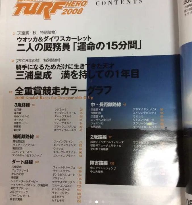 2008年   ターフヒーロー   ウオッカ＆ダイワスカーレット