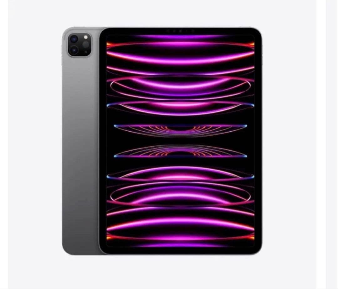 Apple iPad Pro 第4世代 11インチ 256GB Apple iPad Pro 11インチ 第4世代 Wi-Fi 256GB 2022年秋モデル MNXG3J