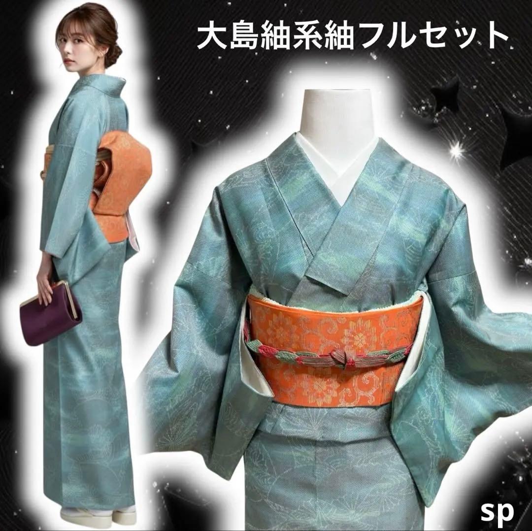 未使用近い　美品　袷　正絹　大島紬系　紬　小紋　フルセット 正絹 大島紬系 紬 小紋 フルセット 4点 美品 袷 - メルカリ