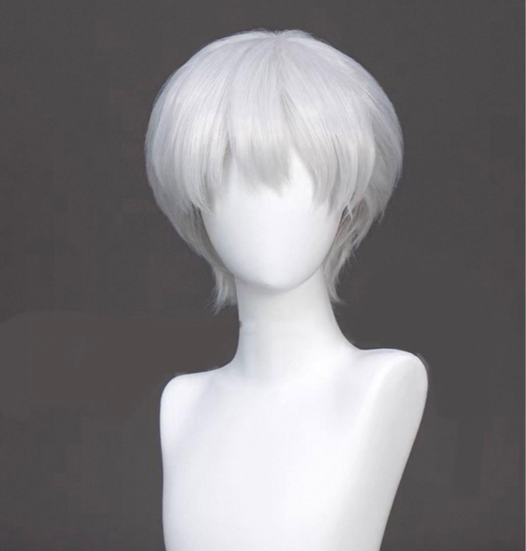 Dr.ストーン ドクターストーン 西園寺羽京 さいおんじうきょう