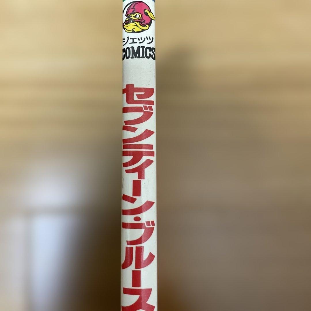 セブンティーン・ブルース 織みゆき