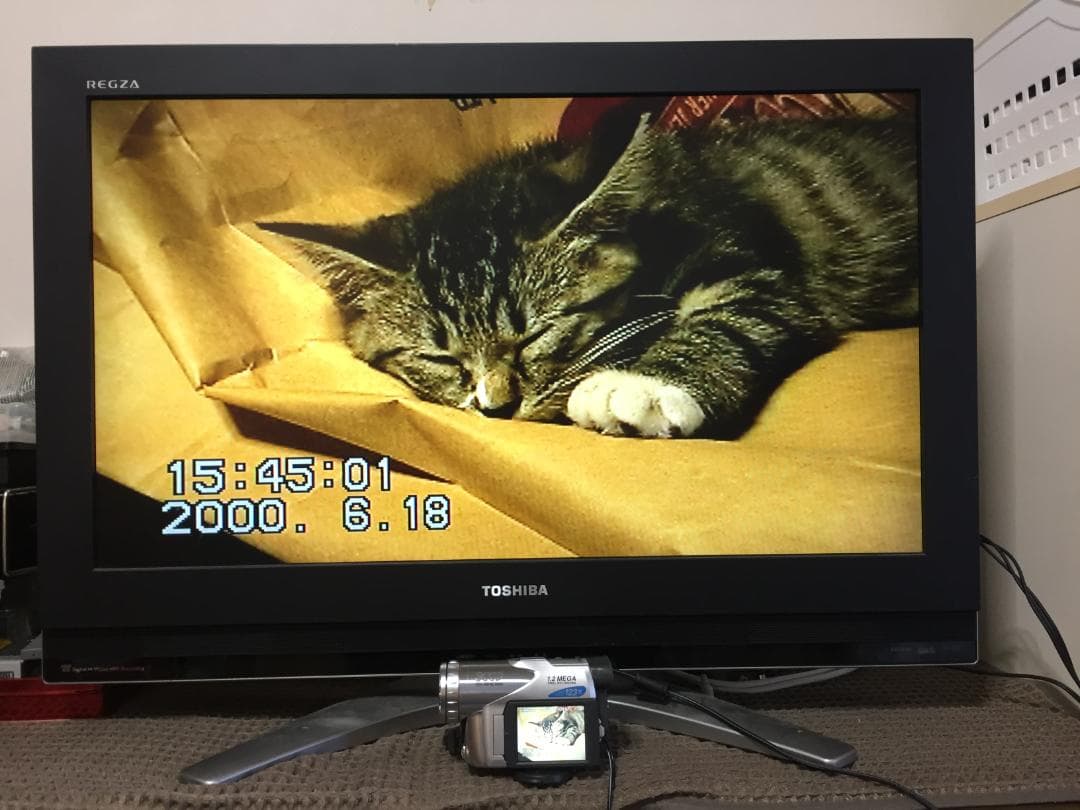 撮影再生ダビングOK　Panasonic　NV-GS70　付属品あり　動作良好