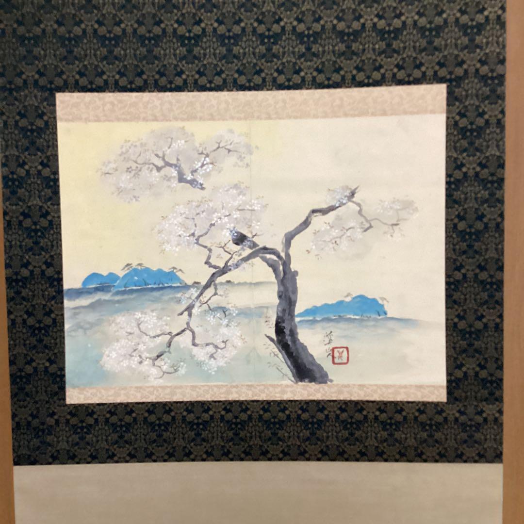 富田渓仙　　紙本彩色画　【　櫻　華　図　】《大智勝観　鑑識箱》タトウ箱　356
