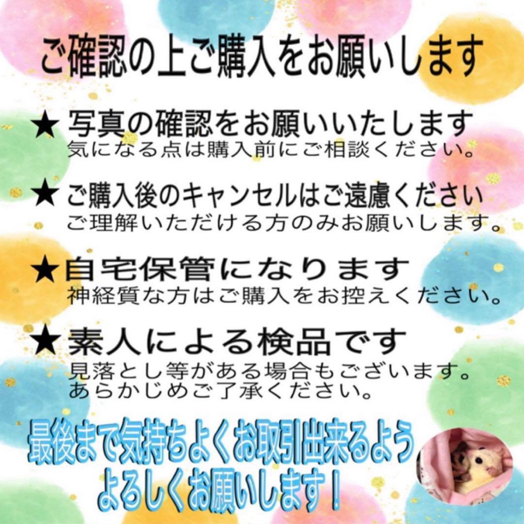 mc Sister 1989年3.4.5.7.8.9.10.11.12月号