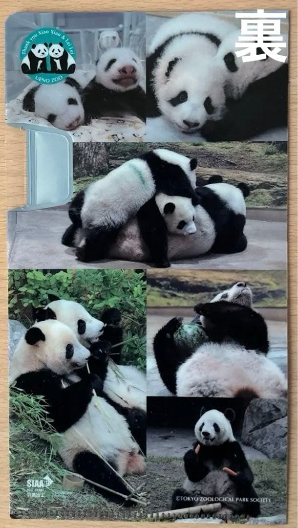 新品未開封】上野動物園 親子パンダぬいぐるみ シンシン シャオシャオ