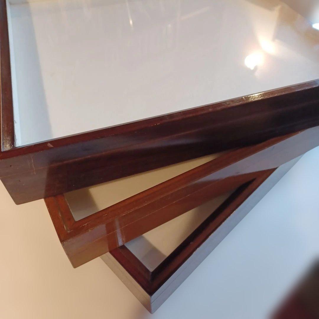 標本箱　ドイツ箱大型　3個セット 大型ドイツ型標本箱（黒） : インセクテック・ドット・コム - 通販