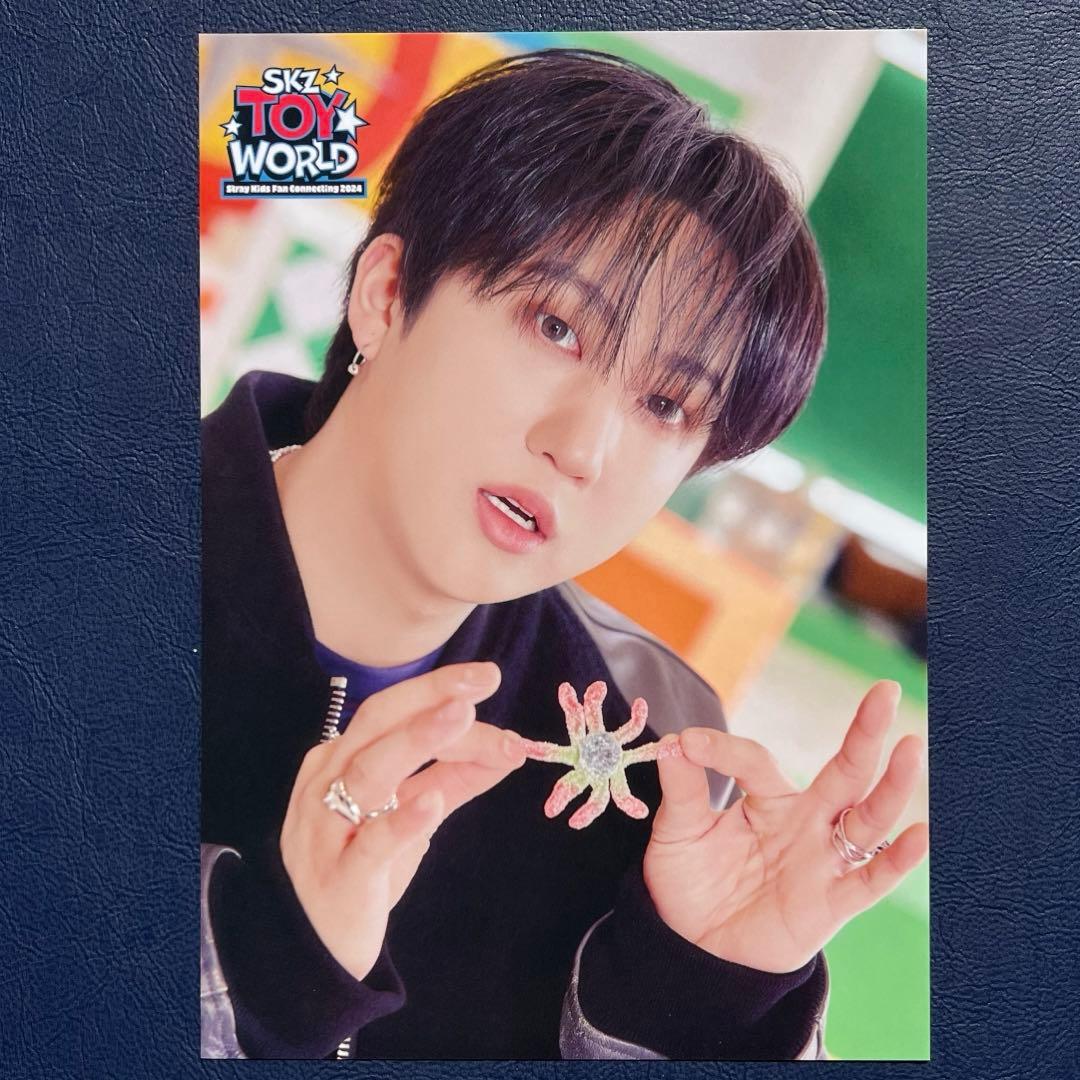 straykids【チャンビン】ペンミ TOY WORLD ラントレ - メルカリ