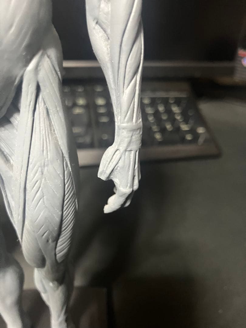 要説明】男女二体セット•アナトミーフィギュア - メルカリ