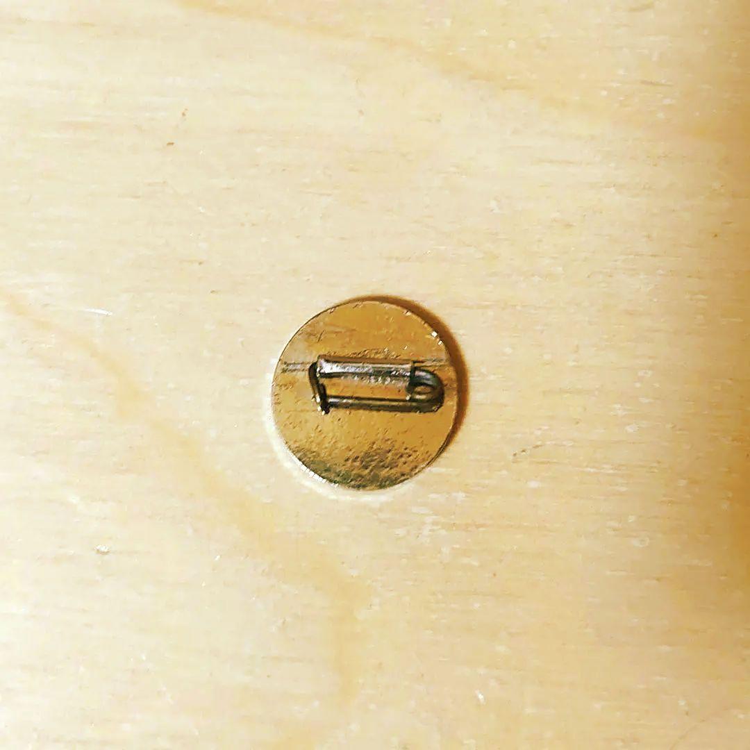 週間少年サンデー ウナギ マーク バッジ 昭和レトロ 非売品 ノベルティ