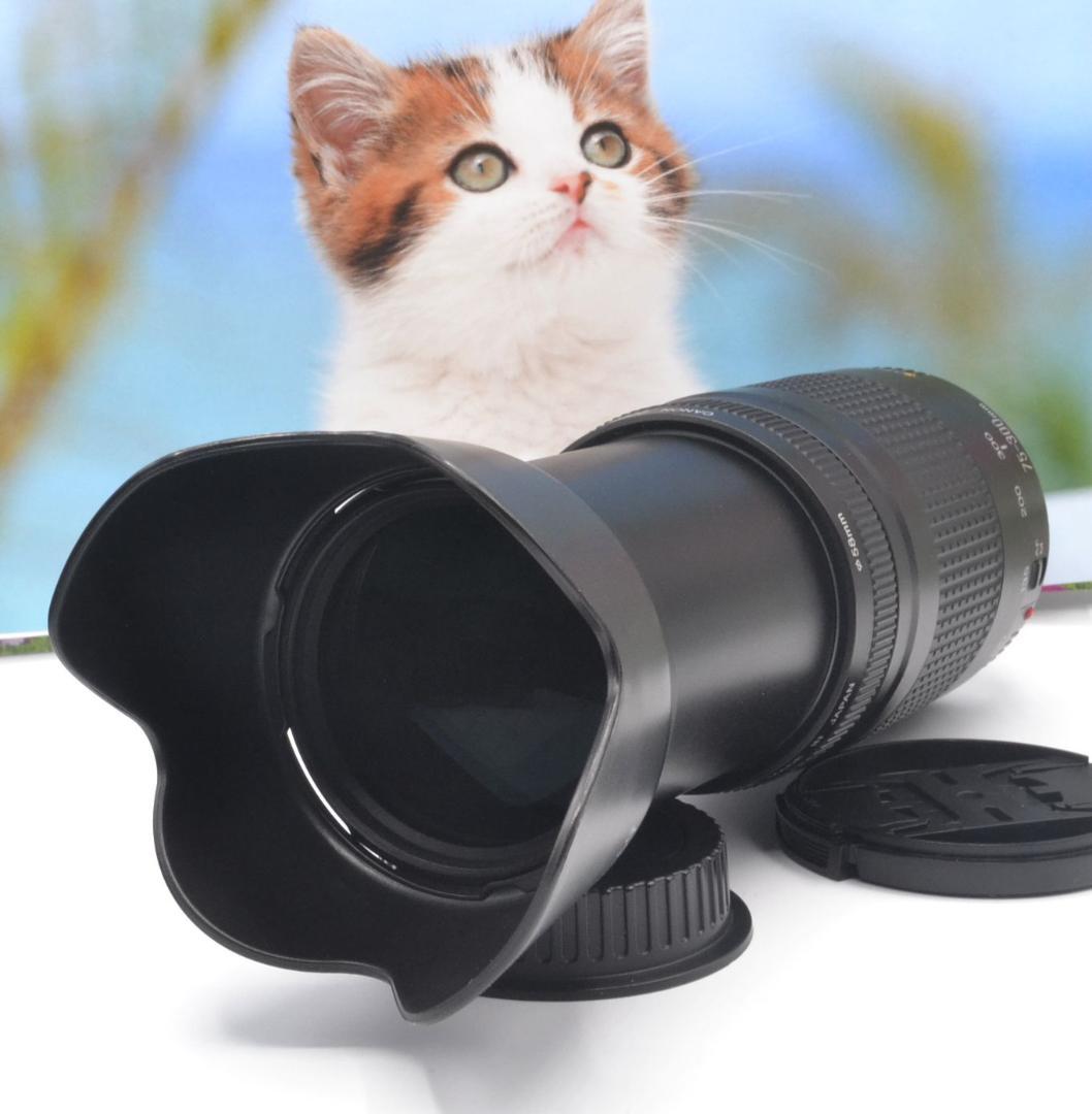 最高の瞬間を望遠で！ Canon キヤノン 望遠レンズ EF75-300mm＃⑧ 20250430130840_34_.jpg