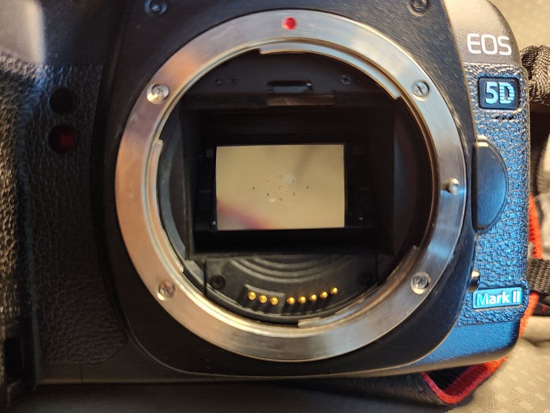 Canon 5D Mark II + Zeiss 50mm ZE 動作品