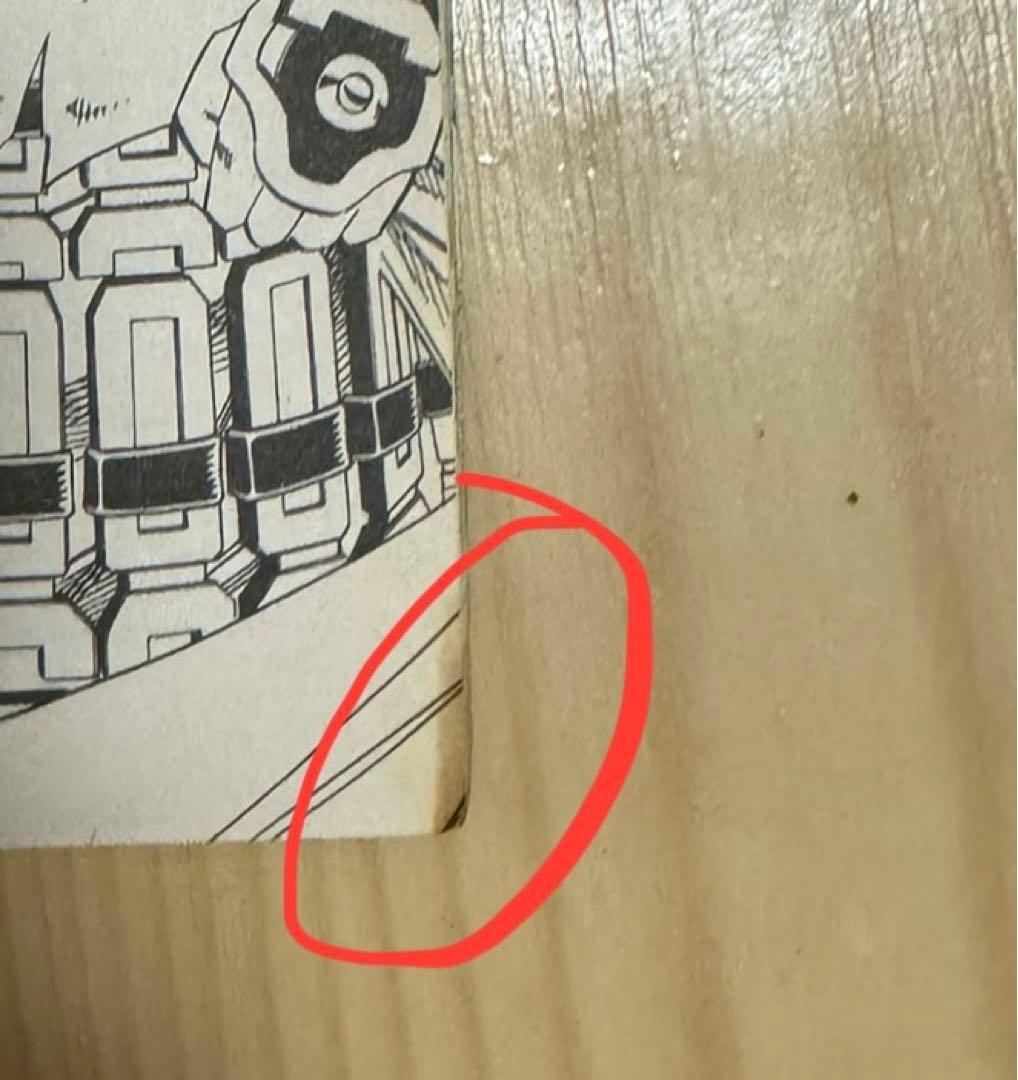 シャーマンキング 英語版 漫画 English Manga シャーマンキング 英語版