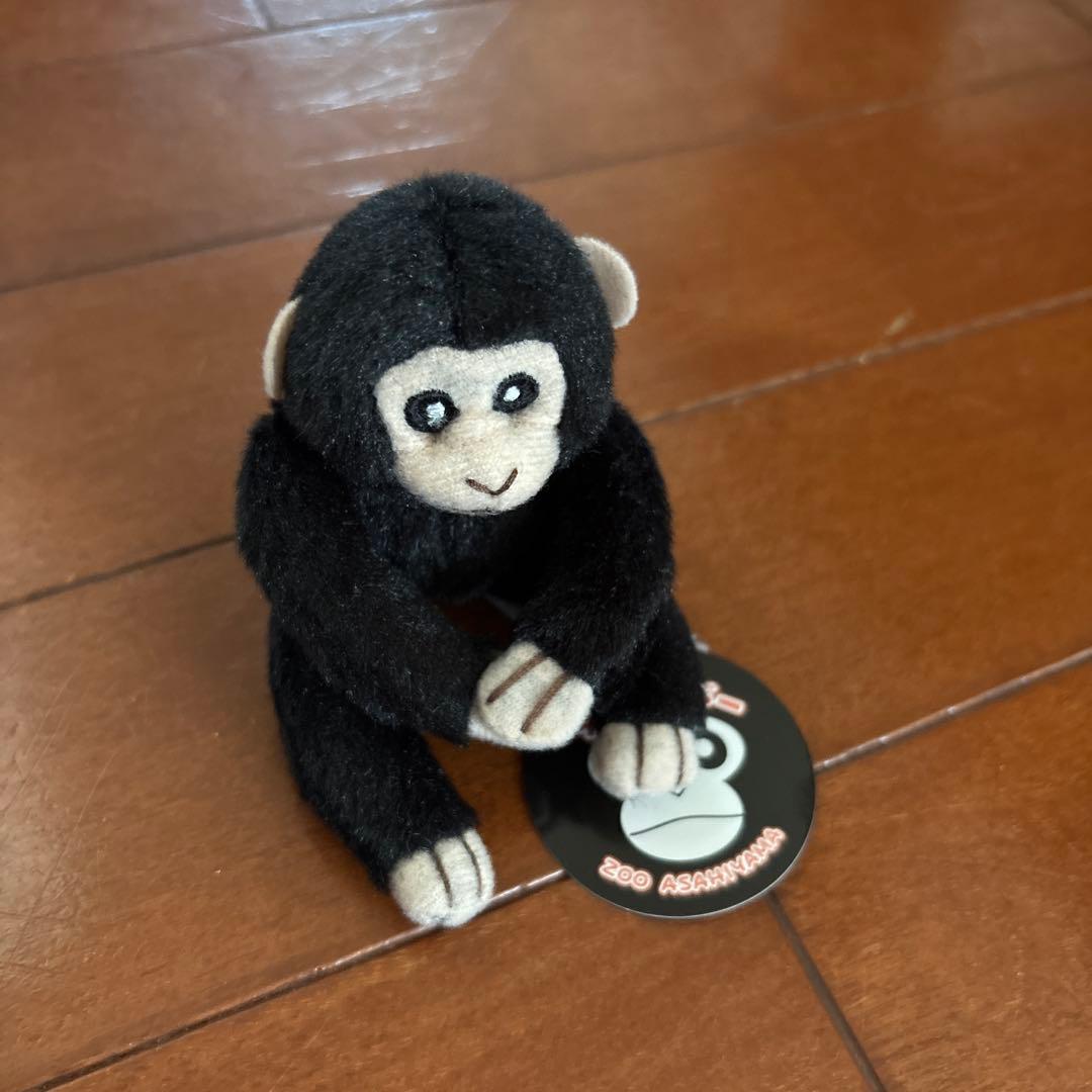 サル ぬいぐるみ 旭山動物園約20cm - メルカリ