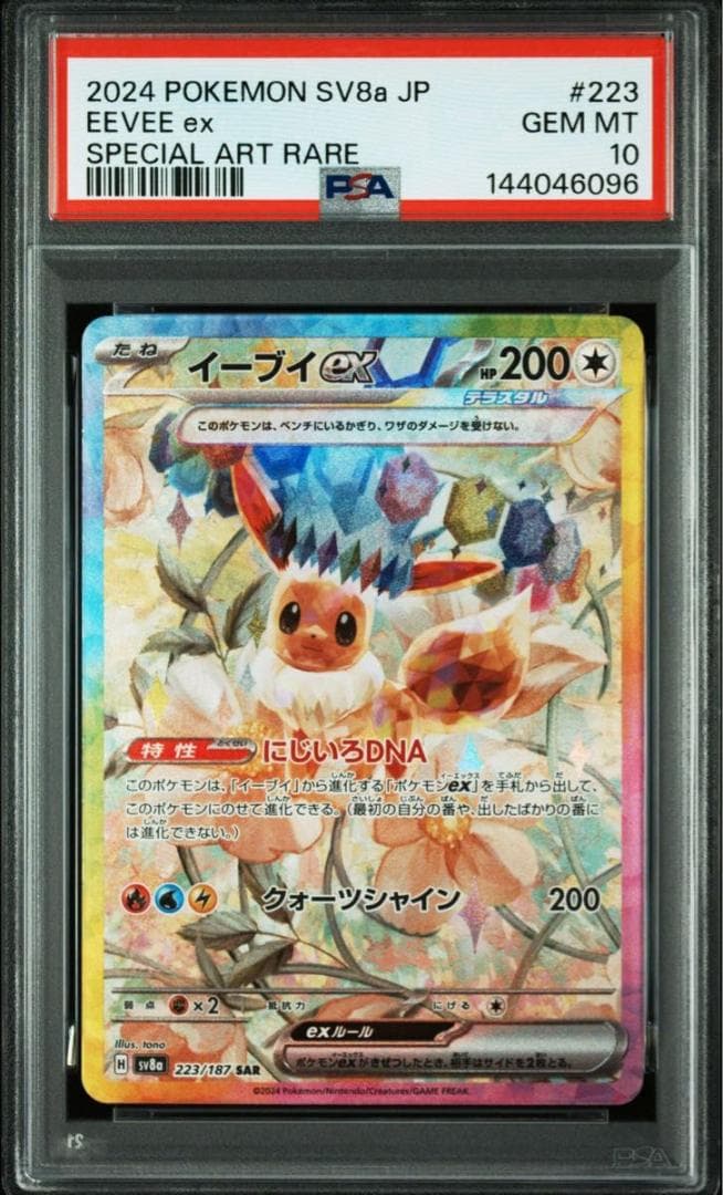 PSA10 図鑑順 10連番 テラスタルフェス ブイズ SAR イーブイ進化 ②