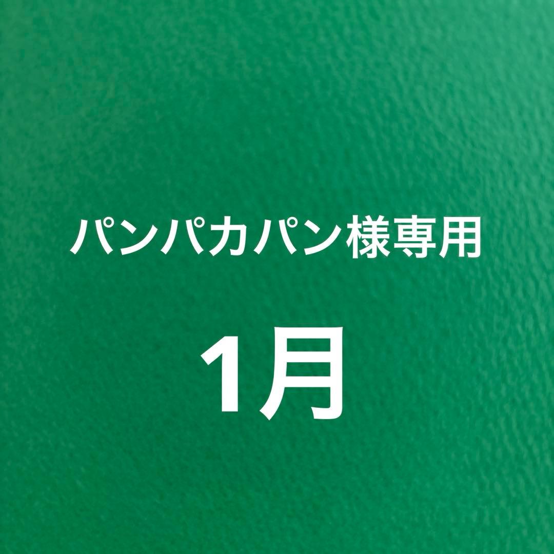 パンパカパン BAGSMART Paz 43L Duffle Backpack Review | Pack Hacker