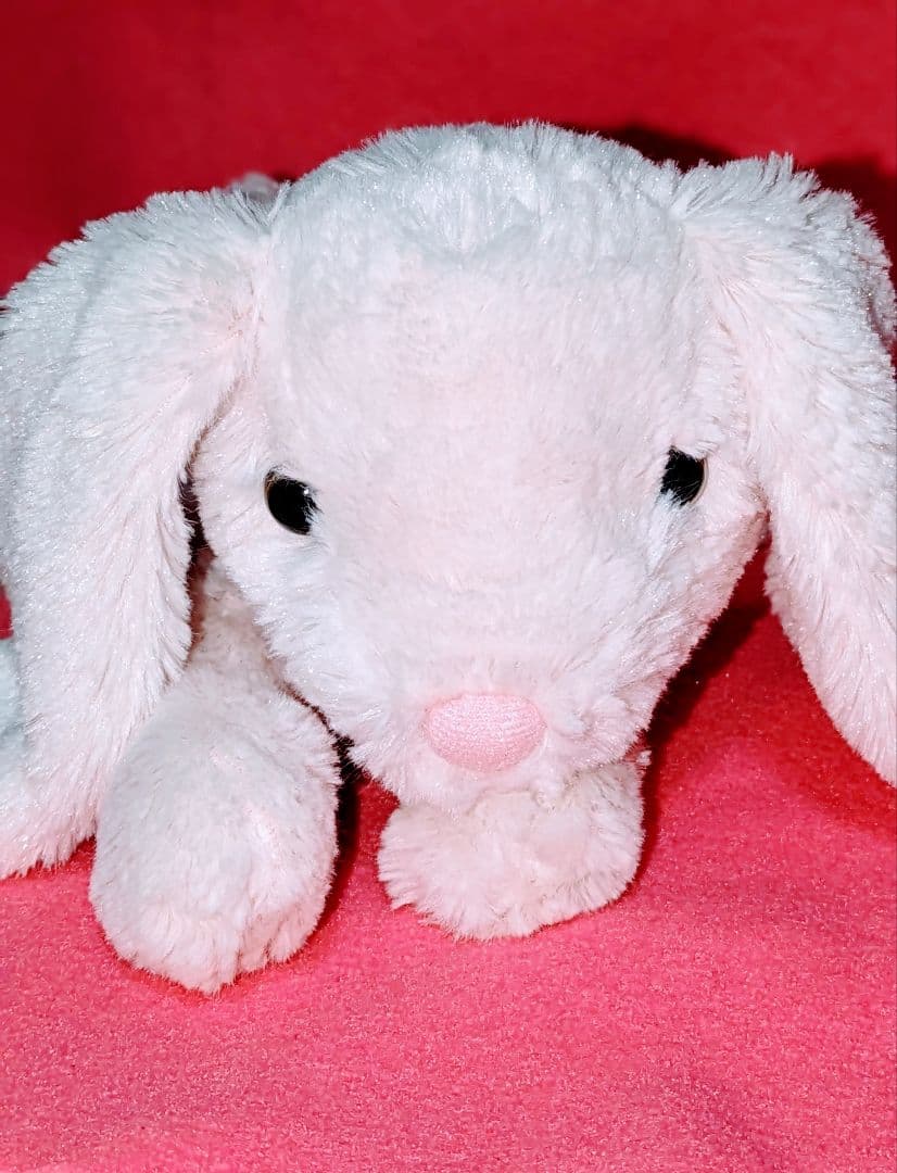 ♡超希少✮廃盤品♡ニトリ♡クタクタぬいぐるみ♡激可愛ウサギちゃん