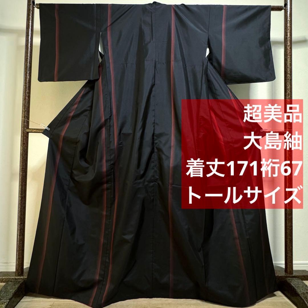 超美品　着物　正絹　袷　現代　紬　171裄67 黒　赤　大島紬　トール　シンプル 紬 着物 大島紬 葉模様 紺色x赤色 袷 広衿 正絹 仕立て上がり着物
