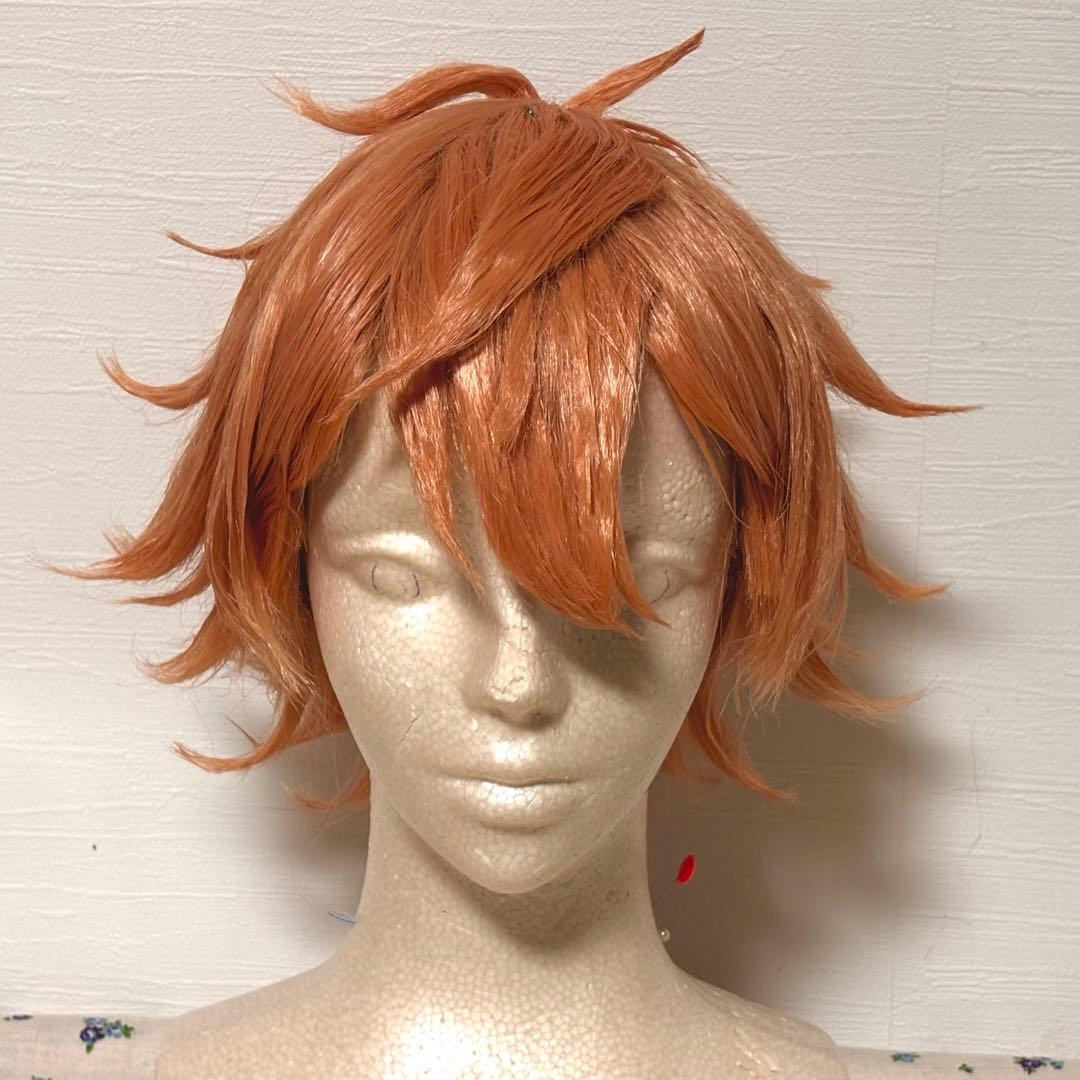 ツイステ エース・トラッポラ コスプレ ウィッグ - メルカリ