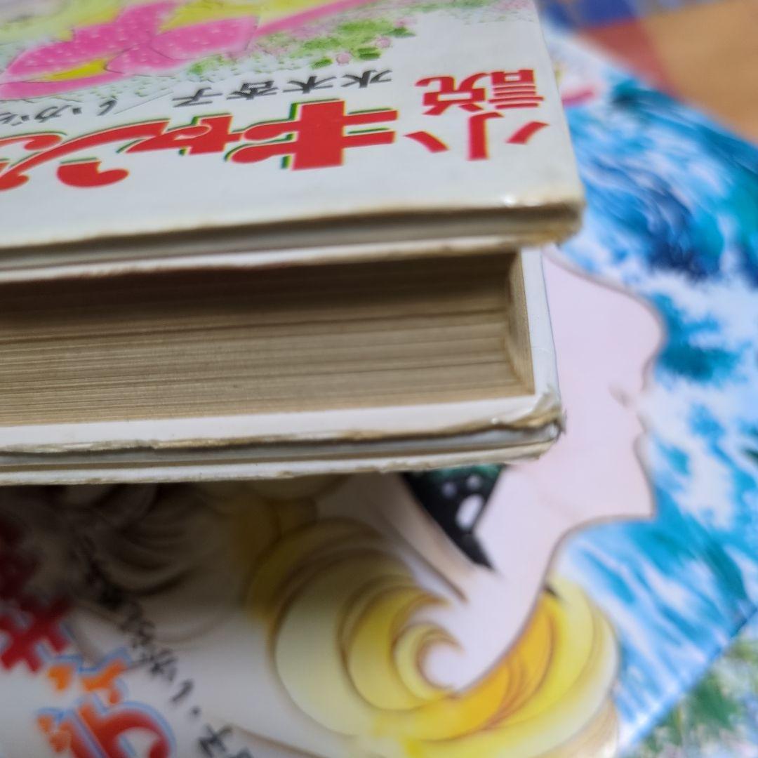 小説キャンディキャンディ 全3巻 水木杏子 いがらしゆみこ 初版 - メルカリ