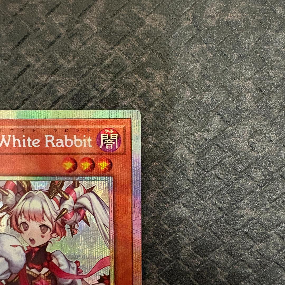 遊戯王 スペシャルパック(スタンプエディション) ホワイトラビット