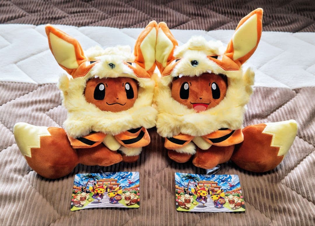 ポケモンセンター 沖縄限定 ウィンディポンチョを着たイーブイ