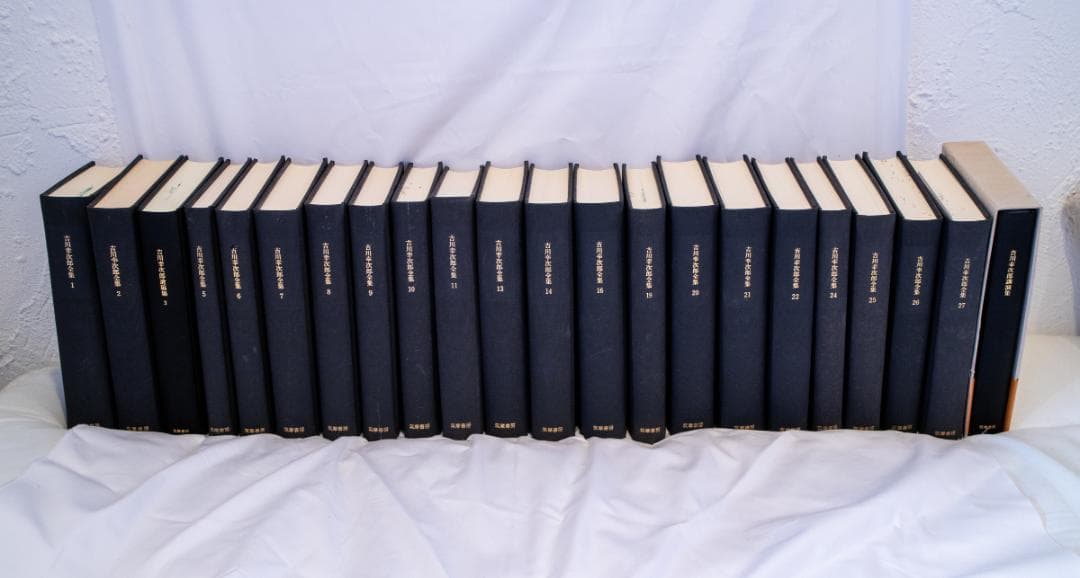 妖魔の戯れ タニス・リー 浅羽莢子 ハヤカワ文庫 初版