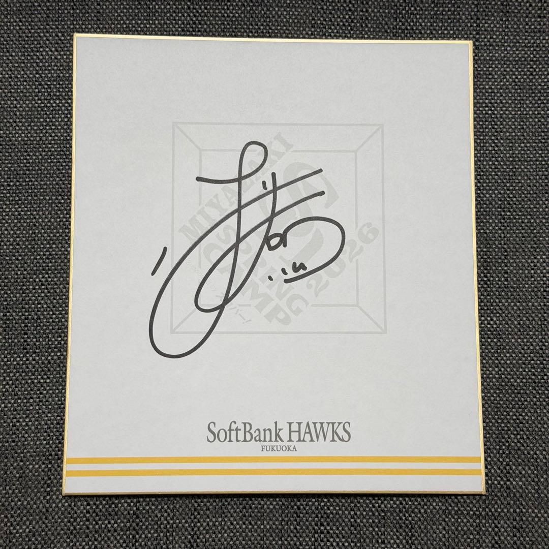 ソフトバンクホークス 徐若熙 直筆サイン色紙 シュー・ルオシー キャンプロゴ 徐若熙 福岡ソフトバンクホークス シュー•ルオシー 春季キャンプ 直筆