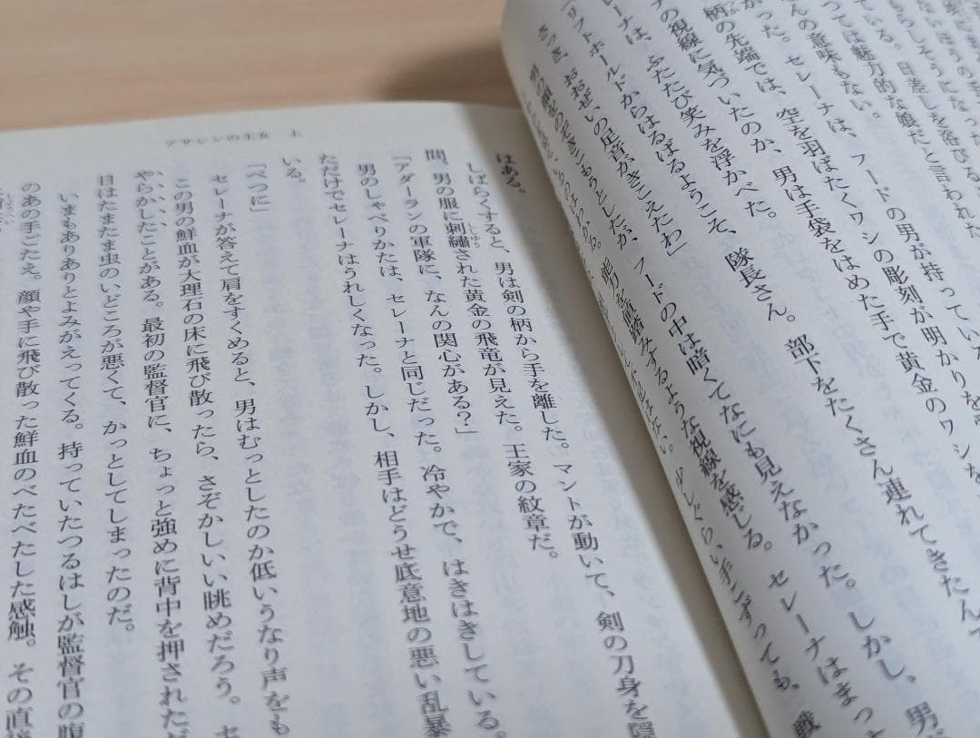 アサシンの王女 上下巻セット