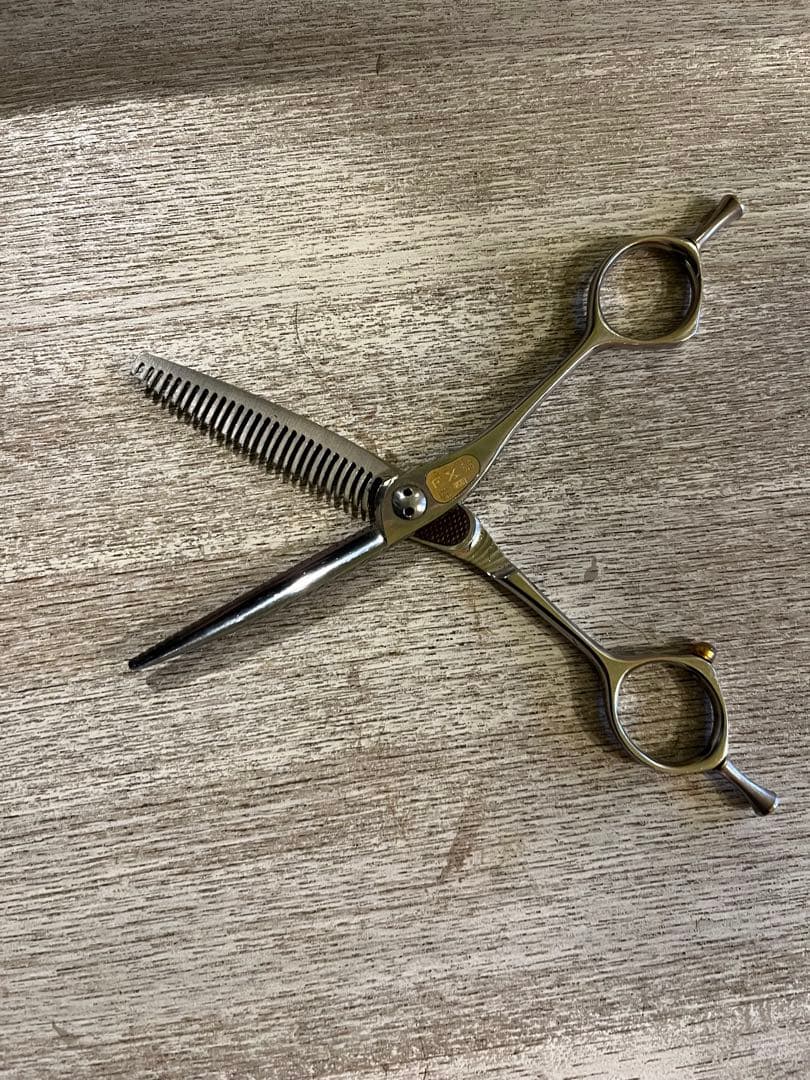 トギノンHi-skill Queen FX 5.8 セニング - メルカリ