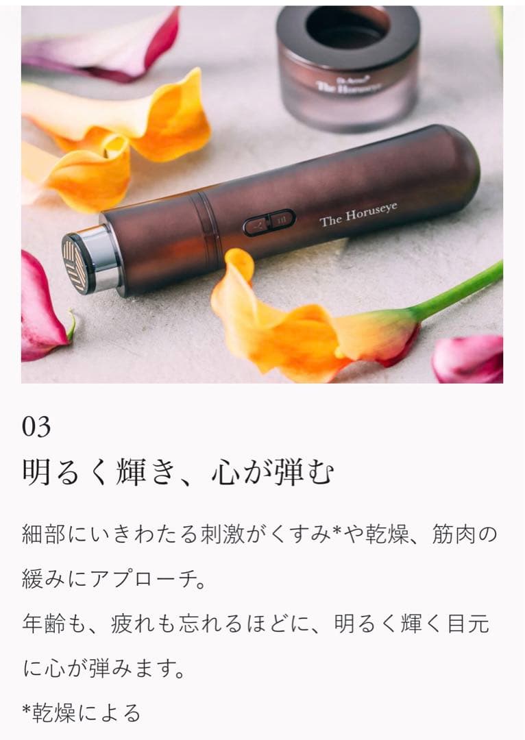 【新品未開封】ARTISTIC＆CO. The Horuseye ザ ホルスアイ