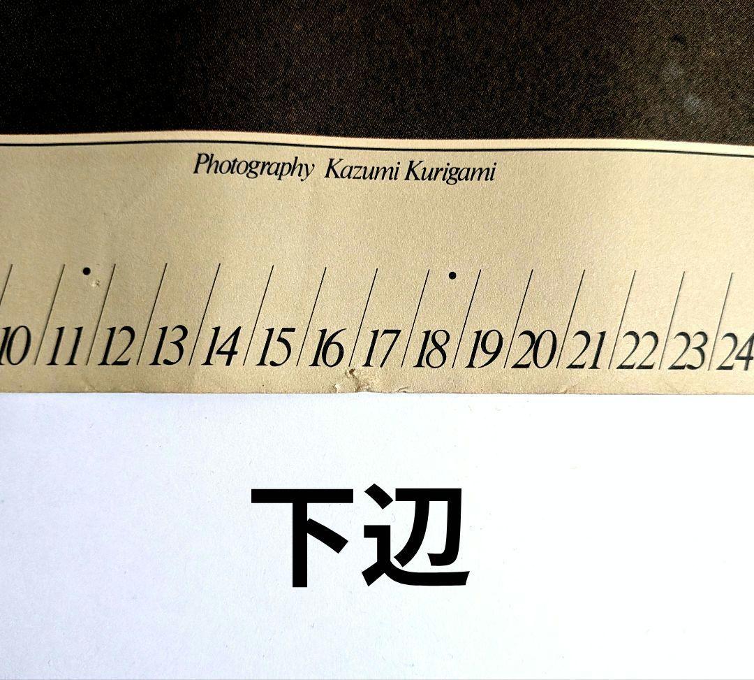 ヴァン ヂャケット 1976年 ノベルティ シーン ポスター 操上和美 撮影作品