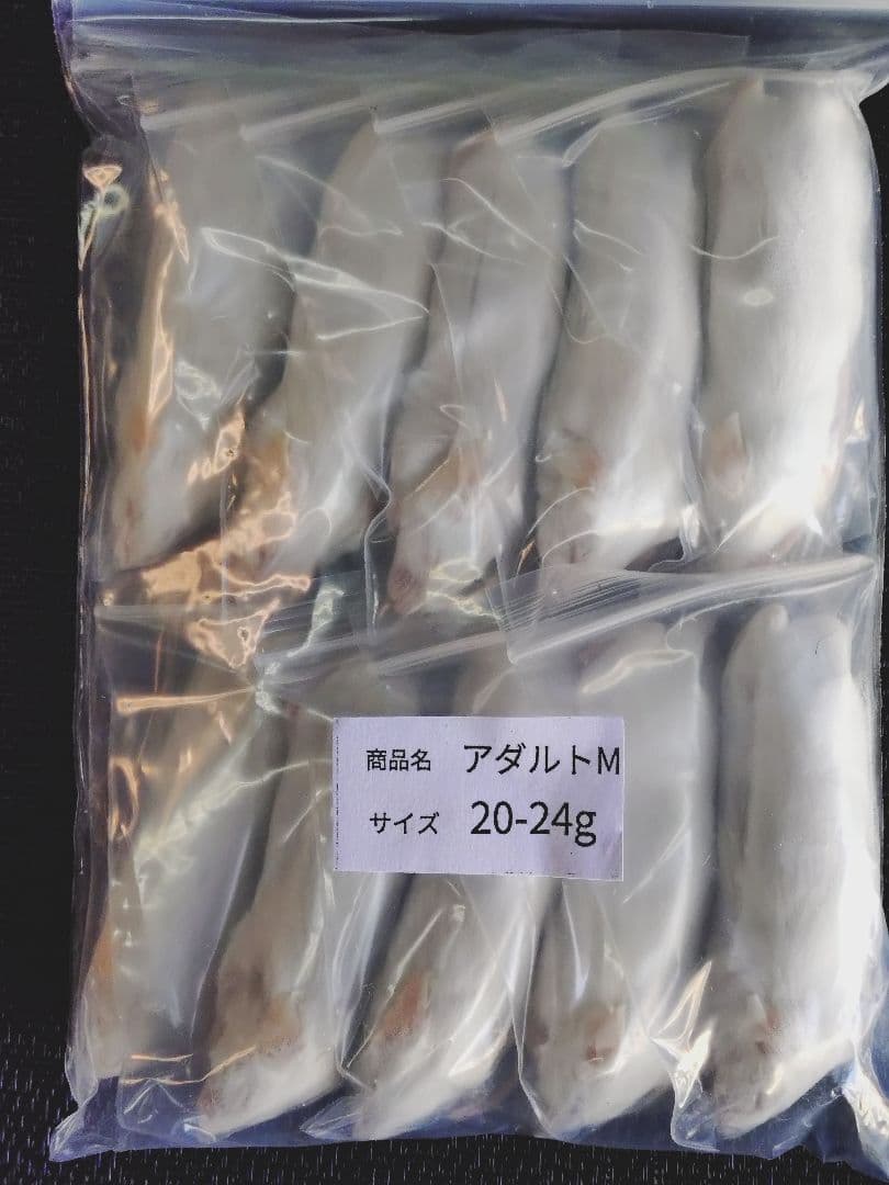 堀川ポッカ　送料無料 冷凍アダルトＬ30匹　アダルトM30匹ホッパー10匹