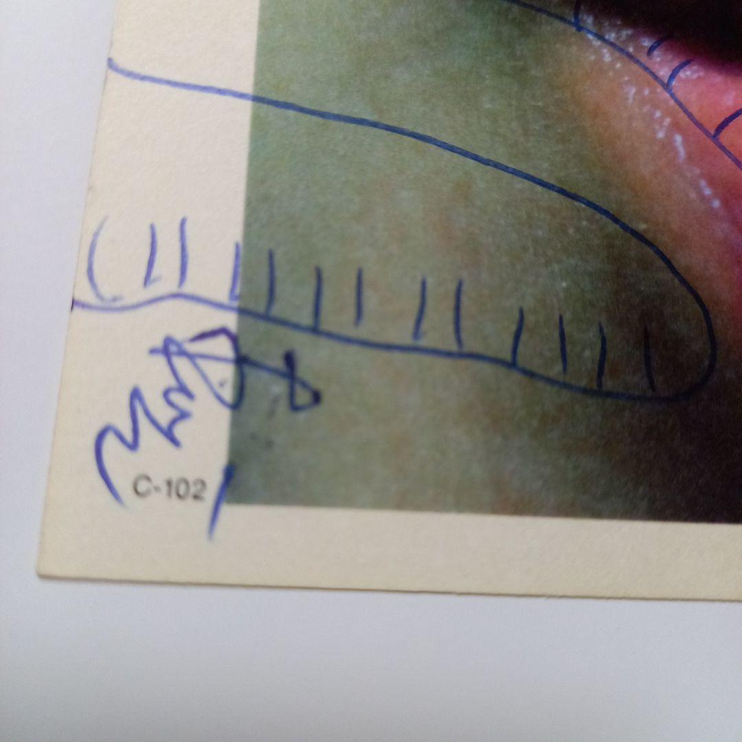 安楽寺えみ写真集 洋書 e hagaki 限定500部 直筆サイン.イラスト入り