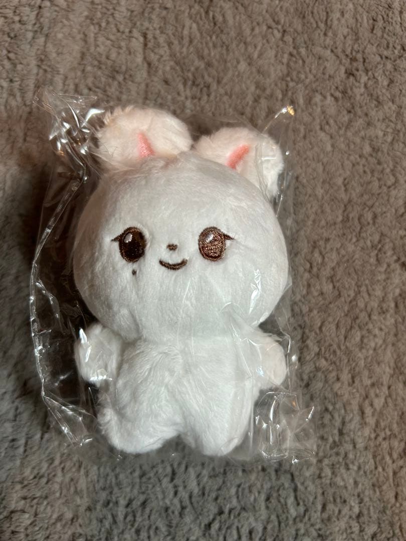 SEVENTEEN ジョンハン ぬいぐるみ マスター - メルカリ