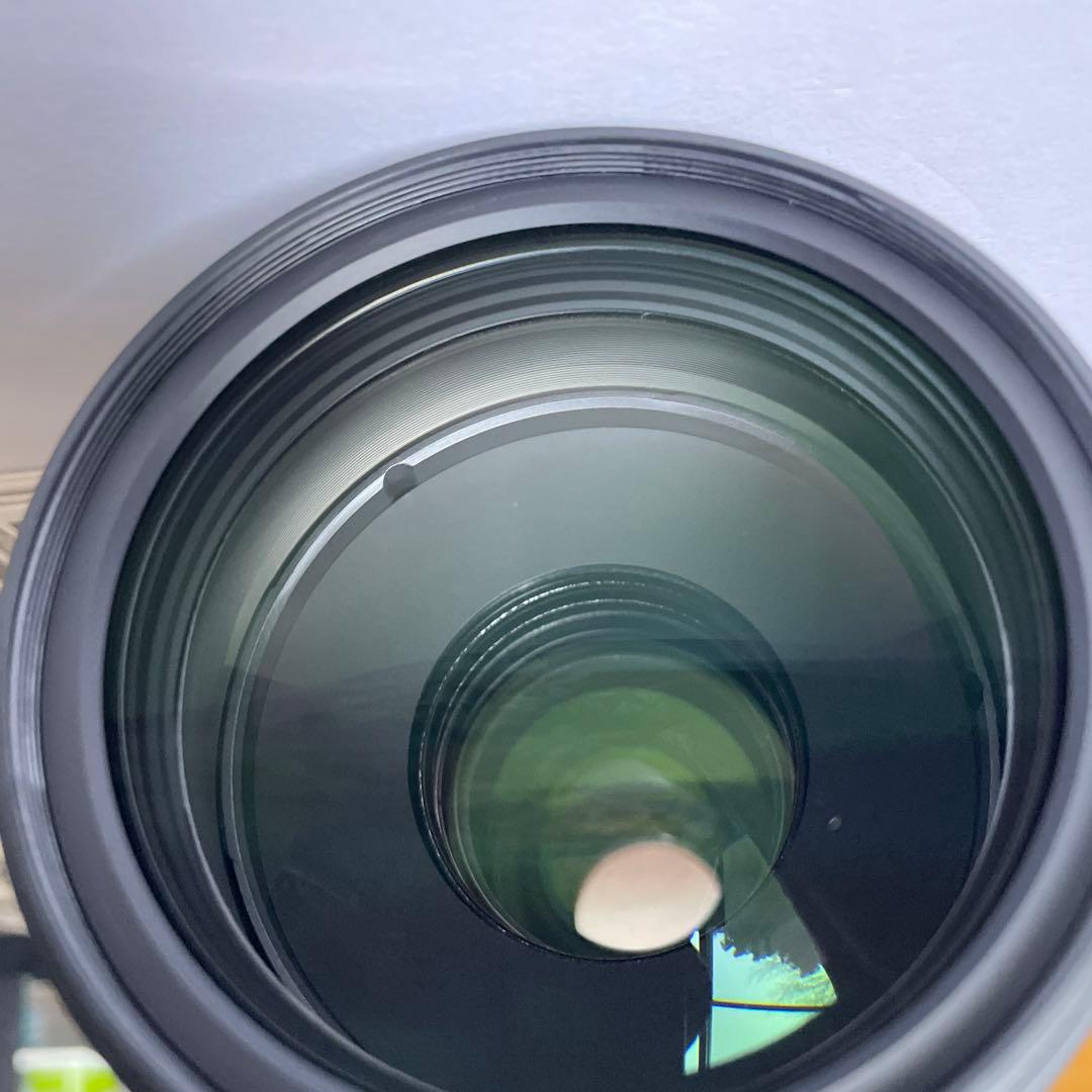 SIGMA 120-400mm F4.5-5.6 APO DG OS ズーム