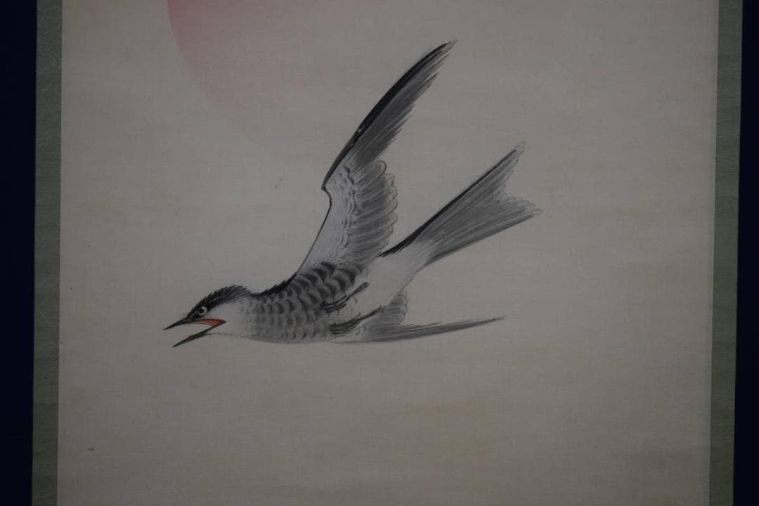 真作/弓家恒畝/杜鵑図/ホトトギス図/絹表装/布袋屋掛軸HH-243 真作/宇田大虚/月にホトトギス図/時鳥/掛軸☆宝船☆T-530の通販 by