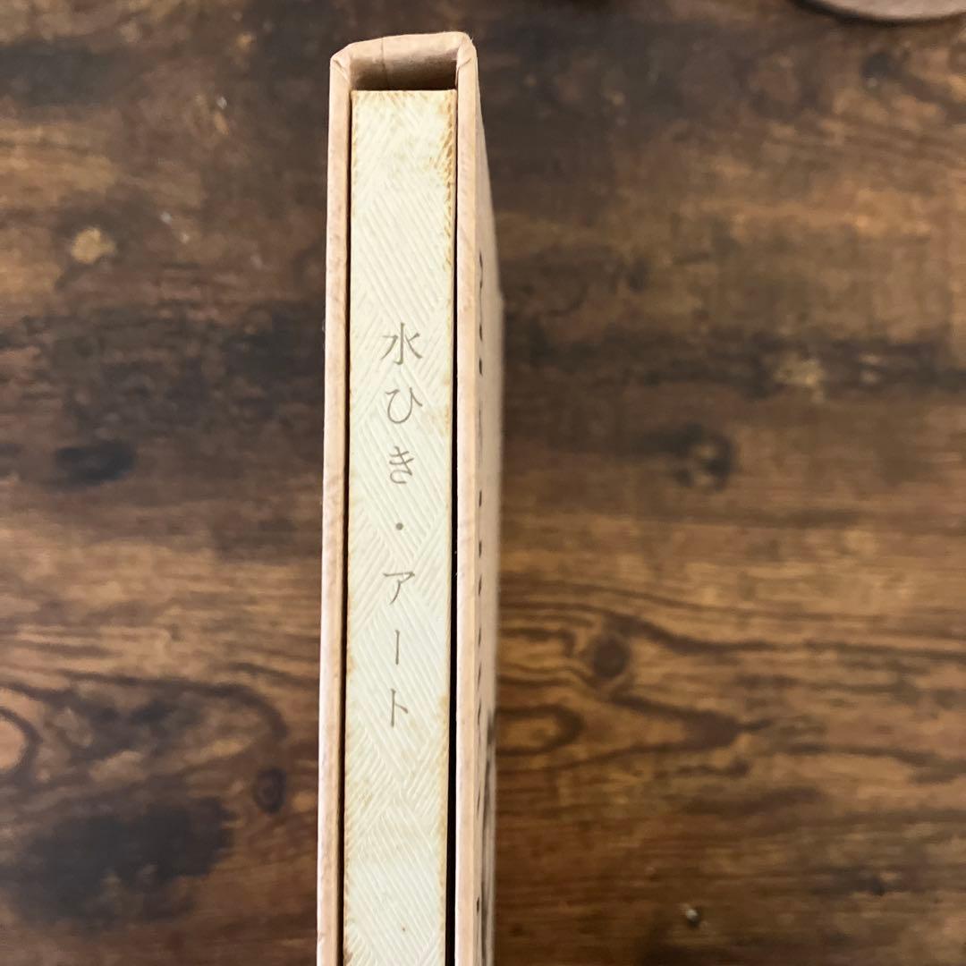 水ひき・アート 能政華著 写真集