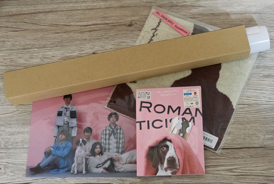 ロマンチシズム 5000枚完全生産限定 ドッグ盤　特典付き ロマンチシズム [5000枚完全生産限定 ドッグ盤][16頁アートブック付