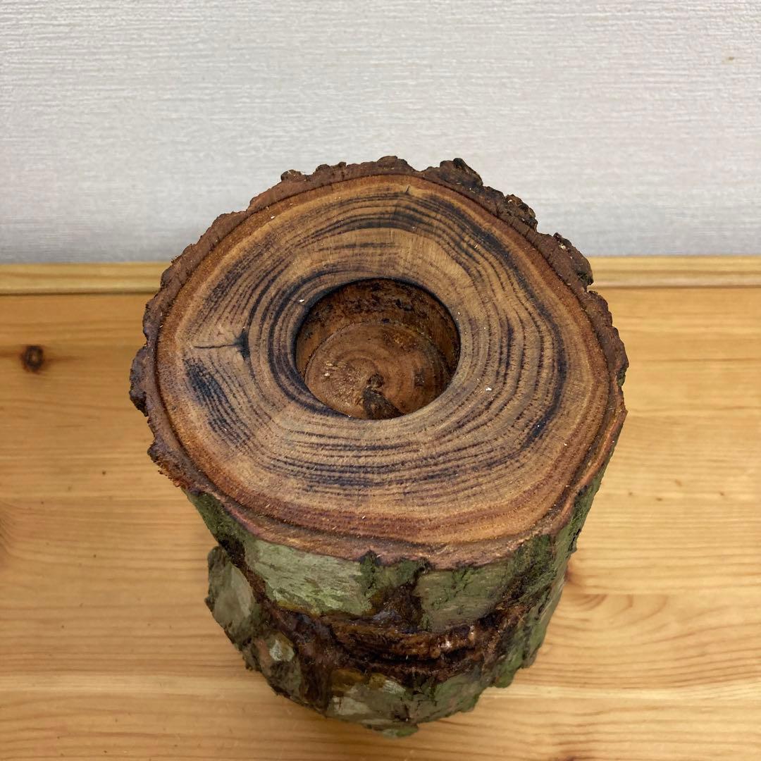 クワガタ隠れ家、樹洞、クワリウム、クワガタテラリウム、登り木、えさ