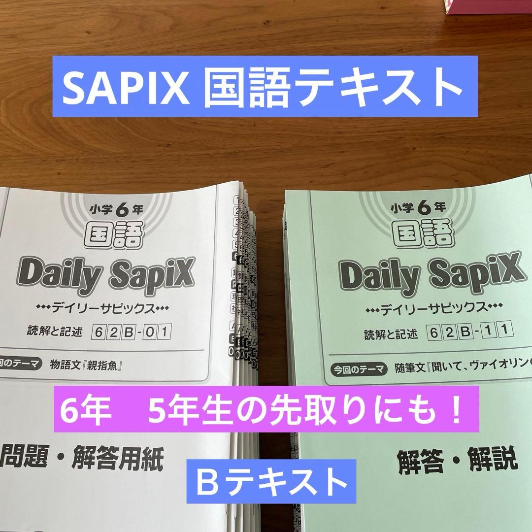 サピックス 国語テキスト デイリーサピックス 6年 5年生の先取り SAPIX