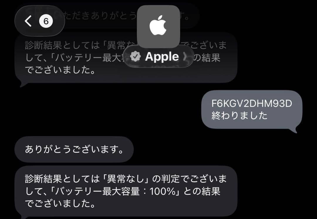 【1/9-発送】【動作確認済】iPod Touch 第7世代