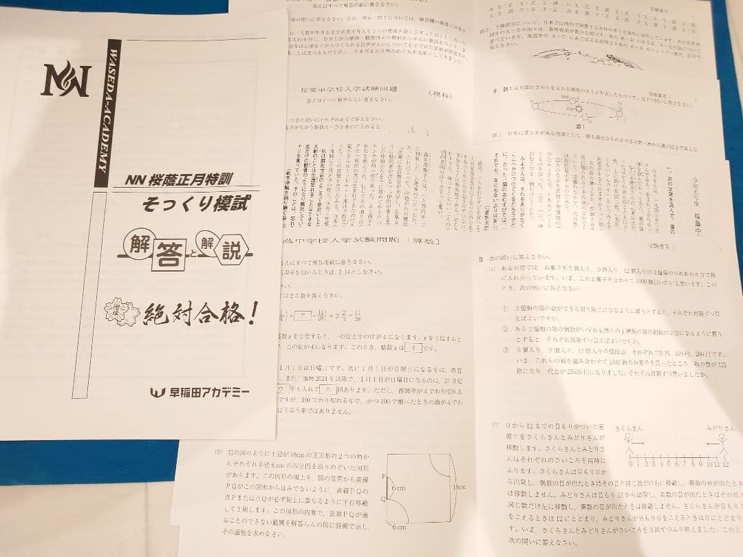 早稲田アカデミー（桜蔭向け）】☆美品☆問題集のセット - メルカリ