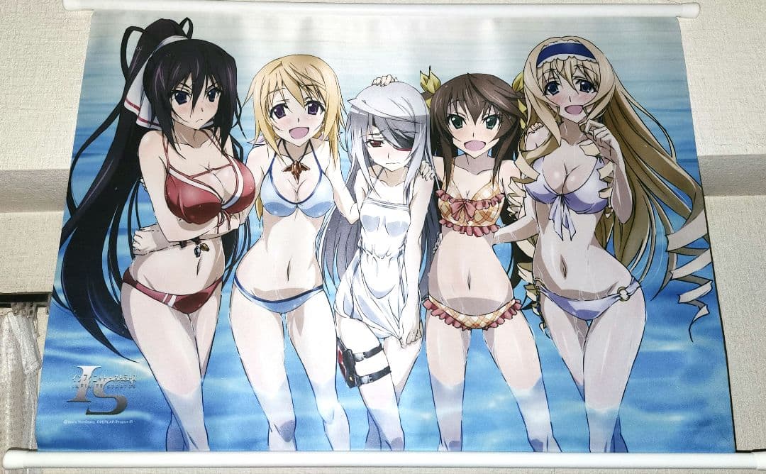 3種セット】IS〈インフィニット・ストラトス〉 タペストリー - メルカリ